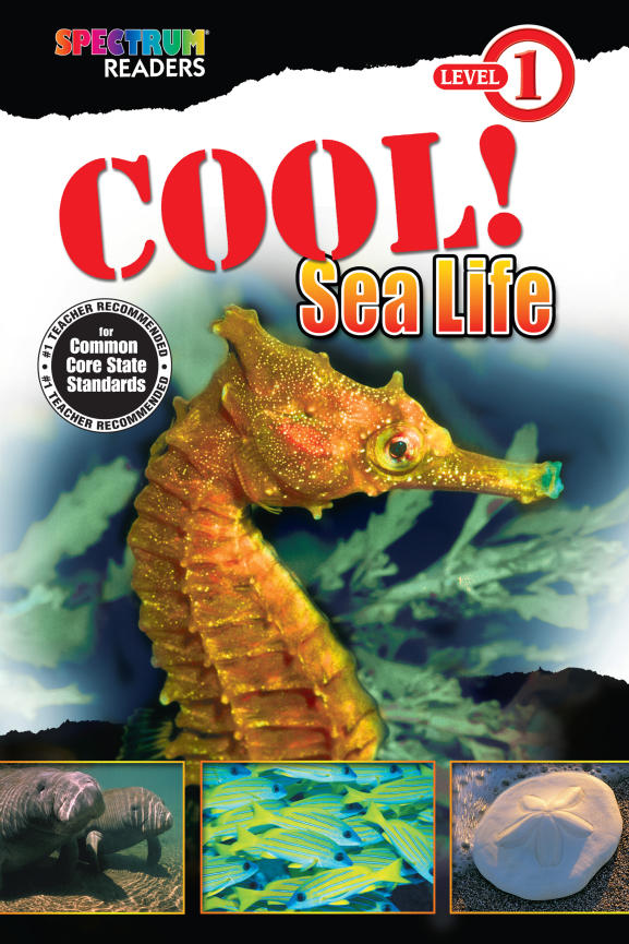 Spectrum Readers Level 1 COOL Sea Life