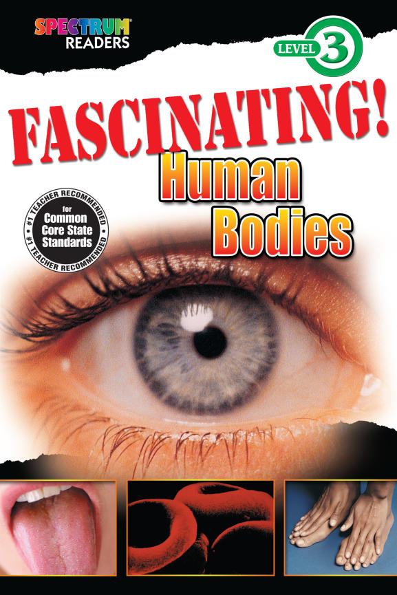 Spectrum Readers Level 3 FASCINATING Human Bodies